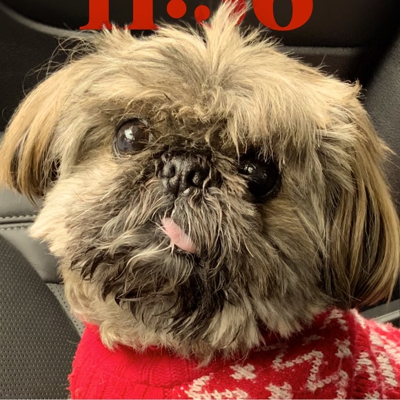 Meet your Posher, Bronwyn - Picture 1 of 1